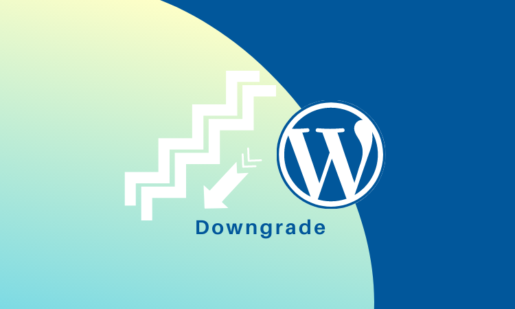 WordPress Downgrade Plugin