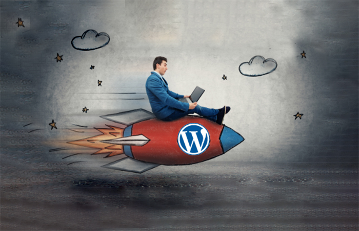 Make WordPress Websites Much Faster In 5 Steps